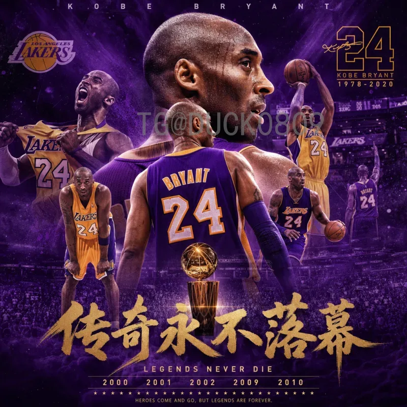 实时更新：2026世界杯中北美区名额分配与晋级形势分析